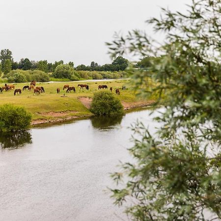 Thoeles*** Am Allerpark Verden Верден Экстерьер фото